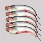 medium1618649751qOouK17302